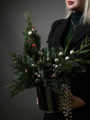 Хвоя в банке «Ёлочные сны»