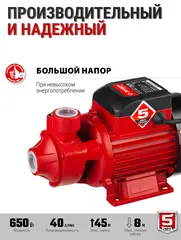 ЗУБР 650 Вт , поверхностный вихревой насос, корпус из чугуна (НС-М1-650-Ч)