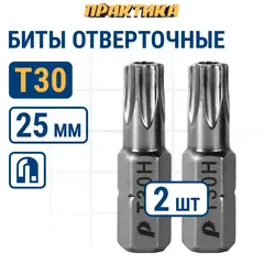 Бита отверточная ПРАКТИКА Профи Torx Tamper-30 х 25мм (2шт) (776-409)