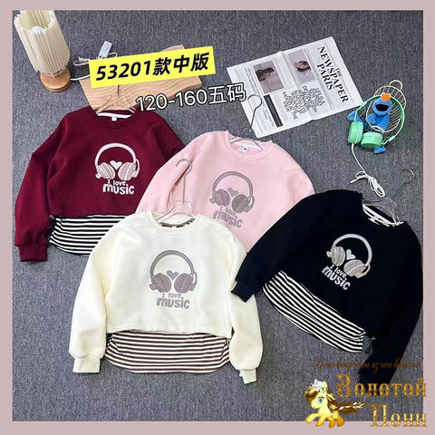 Свитшот трикотаж д (7-11) 251205-Y5063