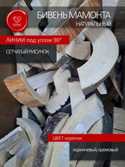 Корка бивня мамонта для коллекции