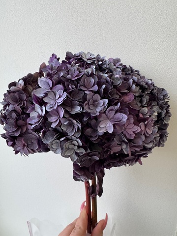 Гортензия стабилизированная сортовая Морозный Фиолетовый (12-15см)