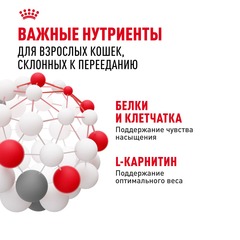 Royal Canin Appetite Control Care пауч для кошек контроль аппетита в соус 85 гр