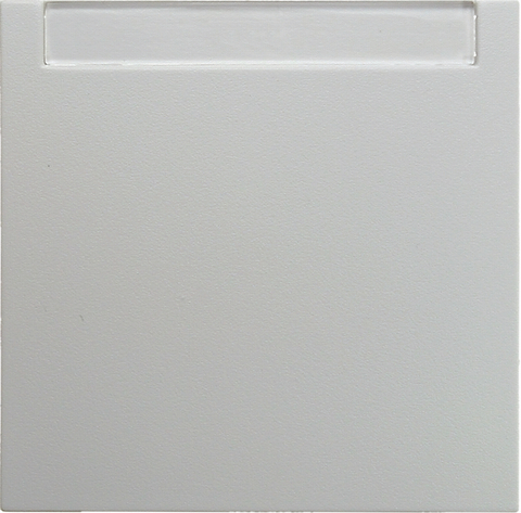 Выключатель одноклавишный, кнопочный для монтажа в полой стене с полем для надписей 10 А 250 В~. Цвет Полярная белизна. Berker (Беркер). S.1 / B.3 / B.7. 16261909+503150
