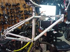 Рама gekko firm mtn