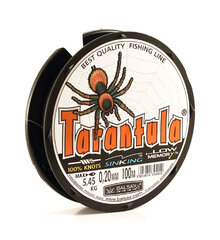 Купить рыболовную леску Balsax Tarantula Box 100м 0,2 (5,45кг)