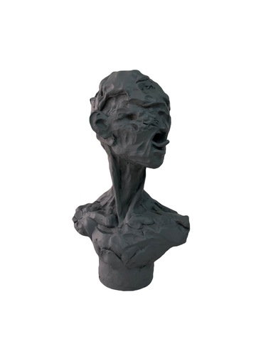 Deformation. Bust #6