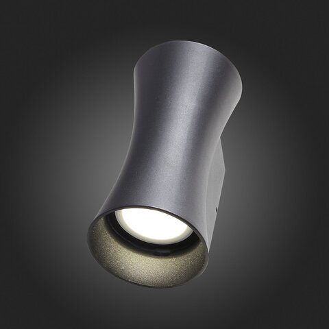Светильник уличный ST Luce Deale SL088.401.02