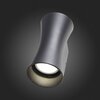 Светильник уличный ST Luce Deale SL088.401.02
