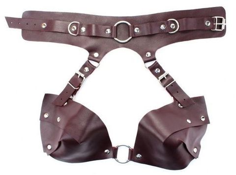 Бордовая сбруя из ошейника с лифом Maroon Harness - БДСМ Арсенал 67018ars