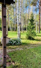 Дождевая цепь «Розы большие», коричневый RAL8017