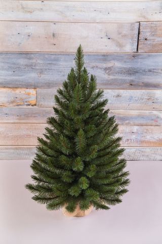 Ель Лесная красавица 90см в мешочке зеленая Triumph Tree