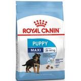 Сухой корм для щенков крупных пород Royal Canin Maxi Puppy с птицей 3 кг.