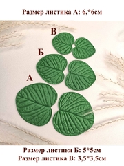 Молд пластиковый листья Эвкалипта, 12х10 см