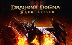 Dragon's Dogma: Dark Arisen (для ПК, цифровой код доступа)