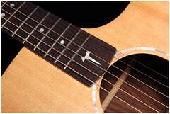 Гитара электроакустическая шестиструнная TOM GA-T1RE