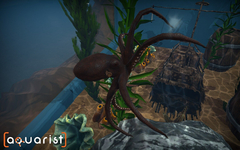 Aquarist (для ПК, цифровой код доступа)