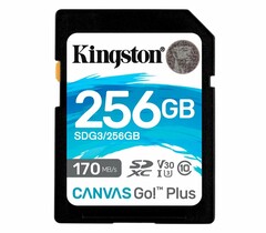 Kingston SDXC 256GB Canvas Go Plus UHS-I U3 V30 90/170Mb/s