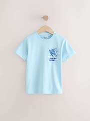 Футболка для мальчика Next AT5-581, Голубой