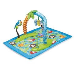 Evenflo Игровой центр Exersaucer™ Animal Planet (61611302)