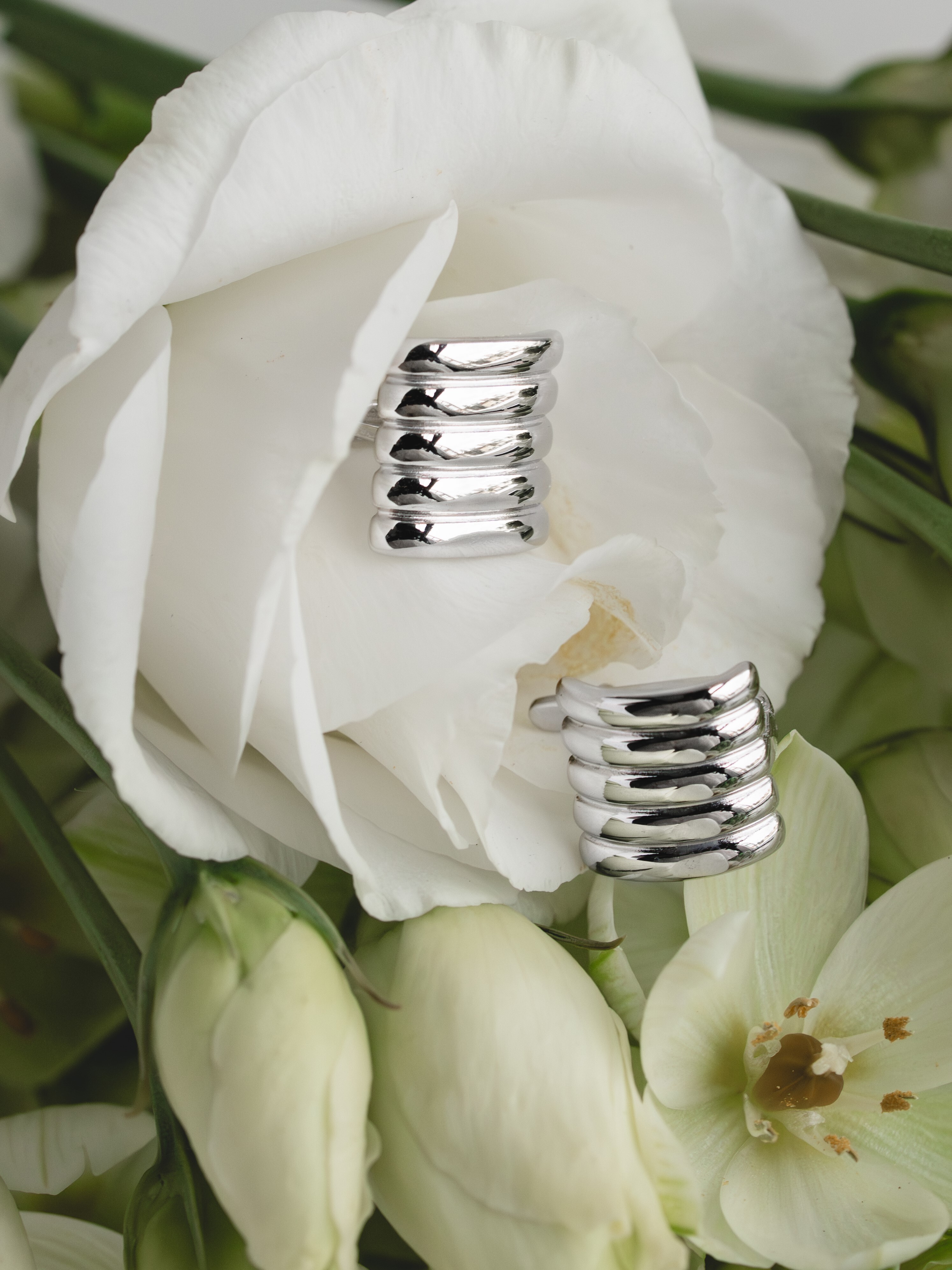 Серьги-хаггисы Ребро