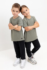 брюки  К 400563/1/черный