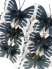 Набор бабочек с прищепкой 6х7 см