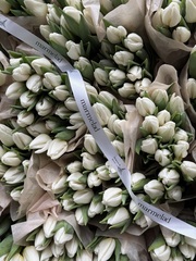 Охапка тюльпаны классика - белый цвет доступен 25 шт