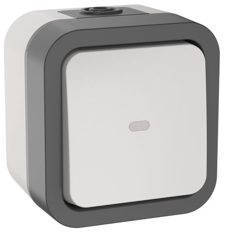 TORS Переключатель однокл. с ин. 10А IP55 TS202 сер-бел IEK