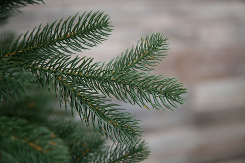 Ель Швейцарская 100% литая 215см зеленая Black Box