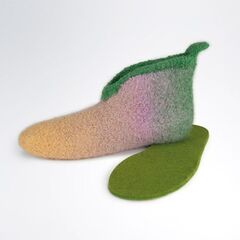 Пряжа Laines du Nord Slippers (06)