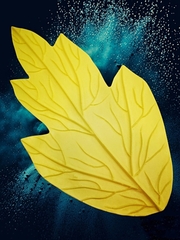 Молд пластиковый 