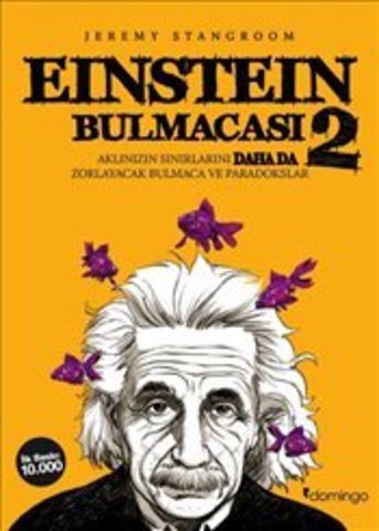 Einstein Bulmacası 2