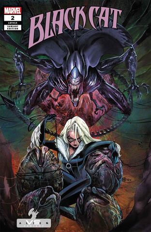 Black Cat Vol 2 #2 (Cover B)