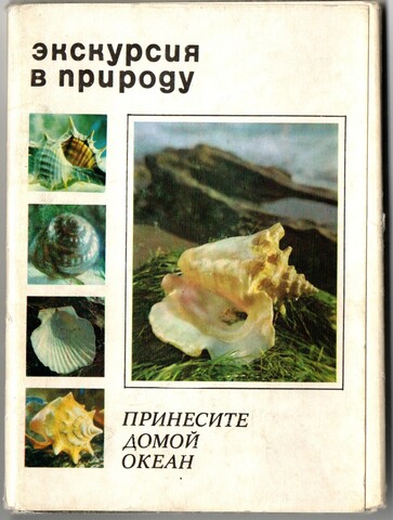 Набор 24 открытки Экскурсия в природу. Принесите домой океан. 1974 год СССР