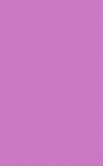 Ткань рибана с лайкрой, пачка, 220-235 гр/м2, 95х2 см