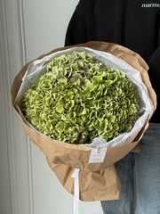 Букет из гортензии в зеленом оттенке 3 шт