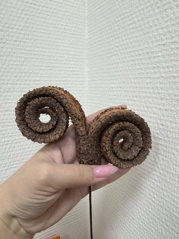 Завитки из коры пальмы на проволоке «Шишка Бараний рог» размер М