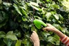Садовые ножницы аккумуляторные  Greenworks Арт. 1600107,  7,2V  со встроенным аккумулятором 2 Aч — фото 9