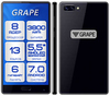 Электронный Голосовой переводчик GRAPE GTM-5.5 v.15 exclusive