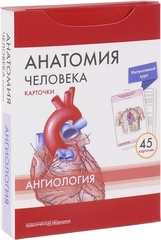 Анатомия человека. Ангиология. Карточки (45 шт.)