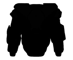 Нагрудник вратаря FL 2025 (SR)