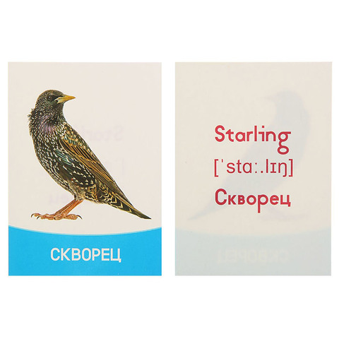 Обучающие карточки 