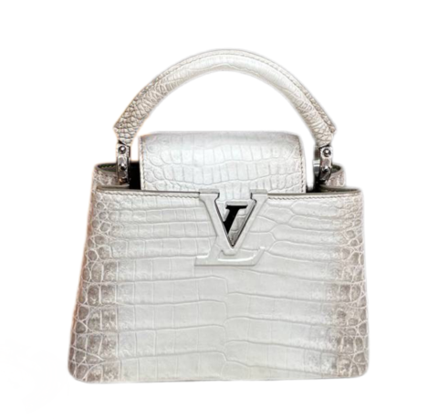 Сумка Louis Vuitton Capucines Mini белый