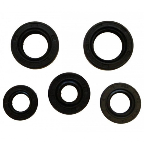 Комплект сальников двиг. 139FMB 50-110сс