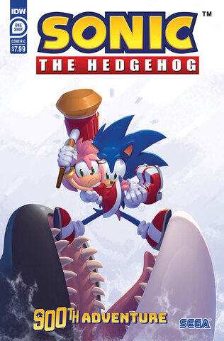 Sonic The Hedgehogs 900th Adventure #1 (One Shot) (Cover C)