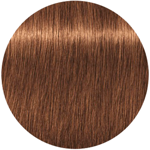 Schwarzkopf Igora Royal New 7-55 (Средний русый золотистый экстра) - Краска для волос