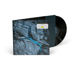 Peter Gregson / Patina (LP)