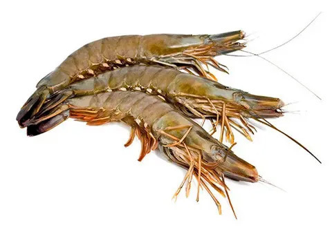 Тигровые креветки 21/30 с головой, 1кг