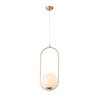 Светильник подвесной ST Luce Penolo SL1118.203.01
